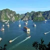 Bahía de Ha Long, destino favorito de turistas en asueto por Año Nuevo 2024