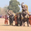 Festival del Elefante de Laos 2024 tendrá lugar en febrero