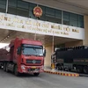 Tres mil empresas vietnamitas reciben códigos para exportar productos agrícolas a China