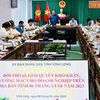 Buscan medidas destinadas a eliminar las dificultades de empresas de Vinh Long