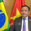 Brasil aspira a fortalecer lazos con Vietnam, afirma embajador vietnamita