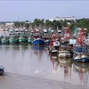 Provincia vietnamita impulsa fuertemente lucha contra pesca ilegal
