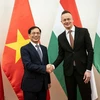 Promueven cooperación diplomática entre Vietnam, Hungría y Rumania
