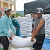 Asignan 15 mil 500 toneladas de arroz a 17 provincias vietnamitas