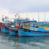 Busca Vietnam detener por completo pesca ilegal en aguas extranjeras