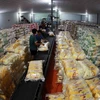 Empresas vietnamitas obtienen contratos para exportar 300 mil toneladas de arroz a Indonesia