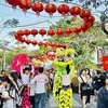  Celebran en provincia vietnamita Festival de Primavera 2024