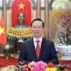 Mensaje de felicitación del presidente de Vietnam en ocasión del Año Nuevo Lunar 2024