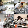 Establecen Consejo Nacional de Ciencia, Tecnología e Innovación en Vietnam