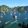 Provincia vietnamita de Quang Ninh lanzará nuevos productos turísticos en 2024