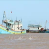 Localidades de Vietnam empeñadas en combatir la pesca ilegal