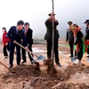 Lanzan campaña de plantación de árboles para impulsar el desarrollo sostenible en Vietnam