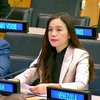 Vietnam aprecia valores de Carta de la ONU