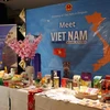 Buscan medidas para promover cooperación Vietnam-Bélgica