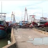 Thanh Hoa toma medidas drásticas contra barcos pesqueros ilegales