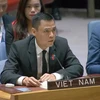 Vietnam continúa llamando a un alto el fuego en la Franja de Gaza