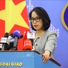 Vietnam muy preocupado por la reciente tensión en el Mar del Este, afirma portavoz