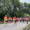 Nutrida participación compite en el Maratón de Descubrimiento 204 de Quang Binh