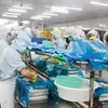 Vietnam por explotar mercados de verduras y frutas en Asia 