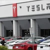 Sudeste Asiático se convierte en la prioridad de expansión de Tesla
