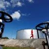 Indonesia por mantener explotación petrolera ante diversos desafíos