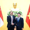 Vietnam y Singapur profundizan cooperación en economía y energía