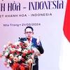 Provincia vietnamita busca oportunidades de cooperación con Indonesia