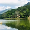 Parque nacional de Vietnam promueve conservación de biodiversidad