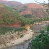 Vietnam tiene 14,86 millones de hectáreas de bosques