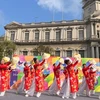 Promoción de cultura vietnamita en desfile internacional en Macao de China