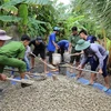 Programas y políticas mejoran medios de vida del pueblo Khmer