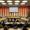 Vietnam elegido miembro del Consejo Ejecutivo de la ONU Mujeres para 2025-2027