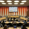 Representantes juveniles de Vietnam participan en ECOSOC