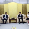 Ciudad vietnamita promueve cooperación con CityNet