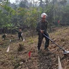 Agilizan lazos Corea del Sur- Vietnam en formación de técnicos para lucha contra minas
