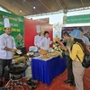 Kon Tum: Récord de Vietnam en preparación de platos utilizando ginseng local