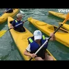 (Video) Exploran en kayak los arrecifes de coral en la bahía de Lan Ha