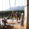 (Video) Construcción de puentes colgantes contribuye a mejorar la vida de pobladores en áreas remotas