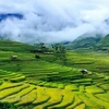 Hermosos lugares por descubrir en Mu Cang Chai de Vietnam