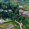 Ciudad de Thanh Hoa trabaja por desarrollar el turismo