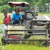 Alemania ayuda a aumentar competitividad de cadenas de valor agrícolas en Delta del Mekong