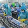 Vietnam registra repunte en exportaciones de pangasius