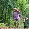 Desarrollan cadena de valor sostenible de almeja y bambú en Vietnam