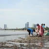 Apoya Vietnam tratado global sobre contaminación plástica
