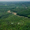 Aceleran la mejora de bosques y el uso sostenible de la tierra en Vietnam