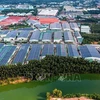 Señales positivas del mercado inmobiliario industrial en Vietnam