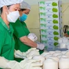 Potencial de exportación de coco vietnamita en mercados globales