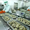 Promueven producción sostenible de almejas vietnamitas