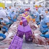 BAD prevé un crecimiento económico de Vietnam del 6% en 2024