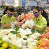 Expectativas de exportaciones de frutas y verduras vietnamitas en 2024